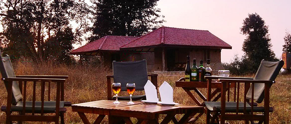 Great Wildlife Deals from Pugdundee Safaris