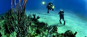 Indonesia Go Diving in Bali This Summer
