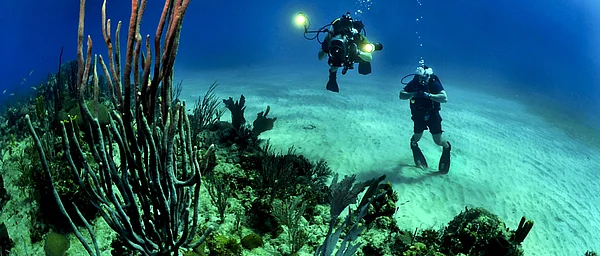 Indonesia Go Diving in Bali This Summer