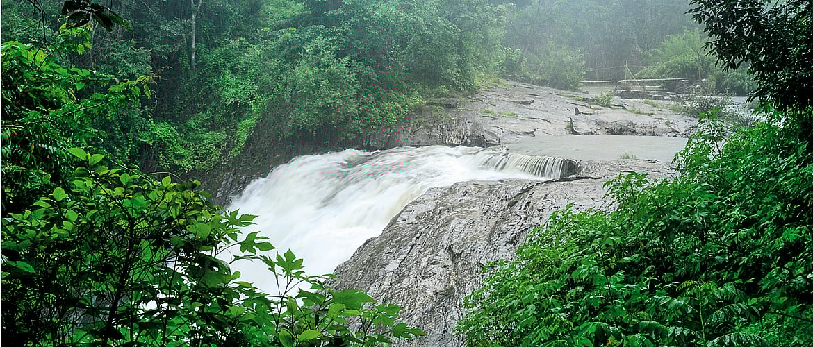 Kerala A Quick Guide to Vythiri