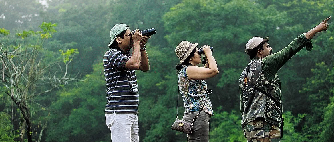 Kerala Birding in Thattekkad