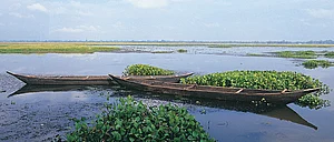 Shutterstock : Majuli is the worlds largest riverine island on the Brahmaputra