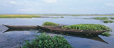 Shutterstock : Majuli is the worlds largest riverine island on the Brahmaputra