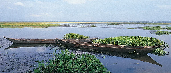 Shutterstock : Majuli is the worlds largest riverine island on the Brahmaputra