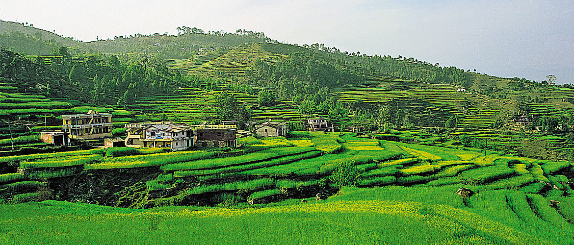 Uttarakhand A Quick Guide To Kasauni