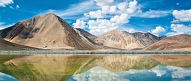 Travelyaari Spring Special Packages