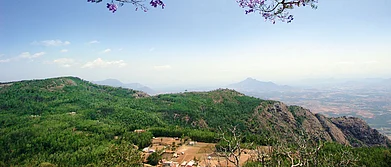 Tamil Nadu A Quick Guide To Yercaud