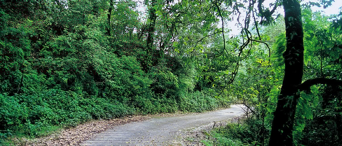 Mussoorie A Day in Ruskin Land