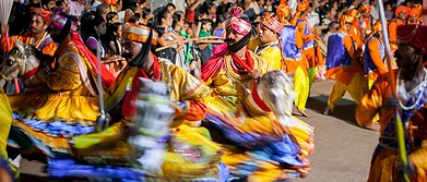 Goa Celebrates Shigmo