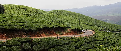 A Kerala Quickie