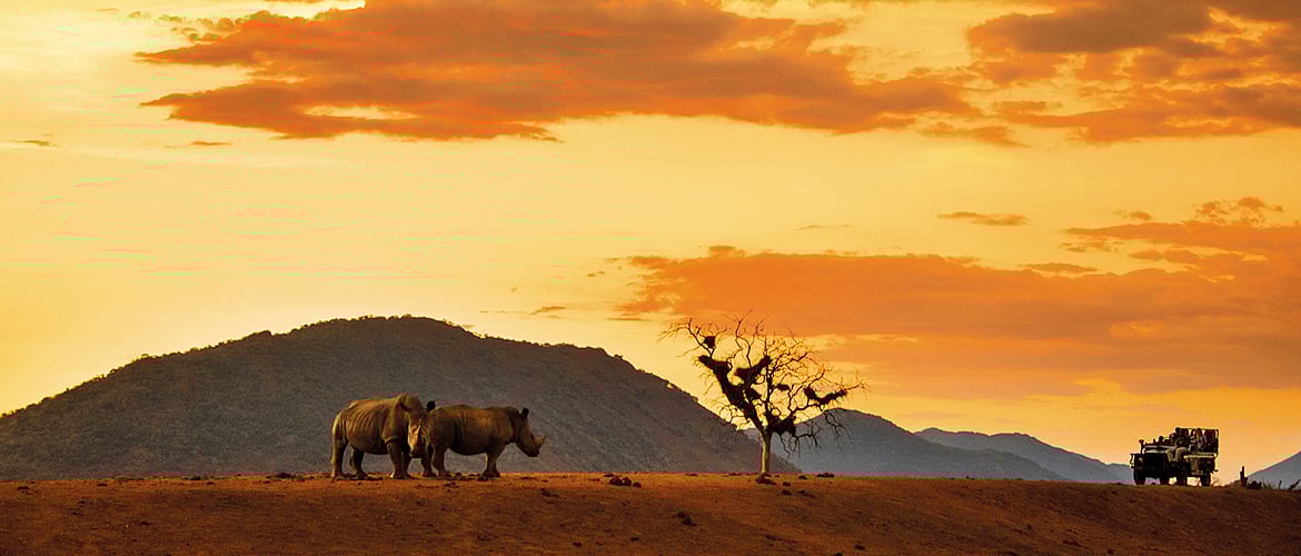 South Africa 5 Amazing Wildlife Experiences