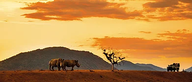 South Africa 5 Amazing Wildlife Experiences