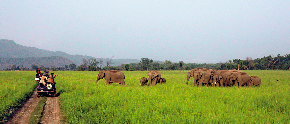 Road Trip Delhi-Kumaon-Garhwal Drive Part 2