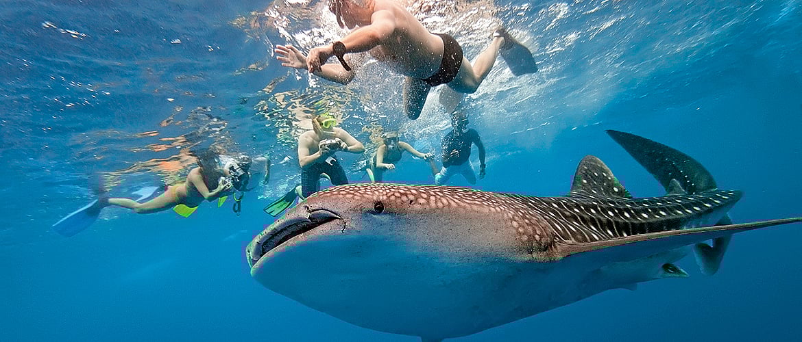 Getty Images : Tick off these bucket list items for an adventurous holiday