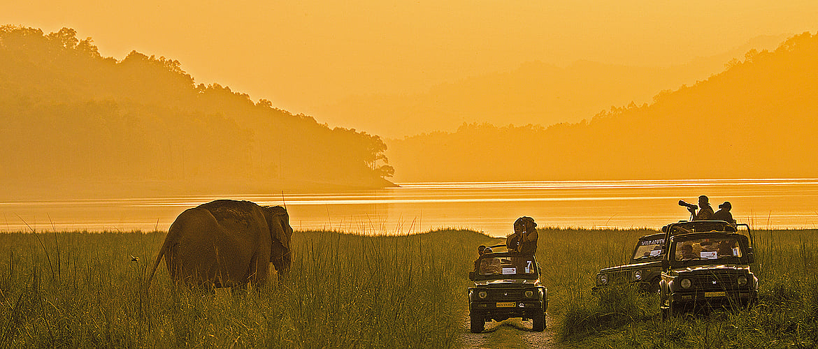 The Roundup 10 Great Stories From Last Week