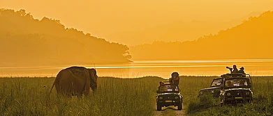 The Roundup 10 Great Stories From Last Week