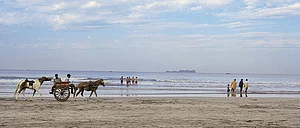 Horse-buggy rides on Murud beach