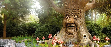 5 Reasons We Love Holland