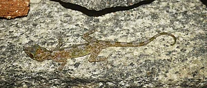 6 Lesser-Known Parks to Visit in India