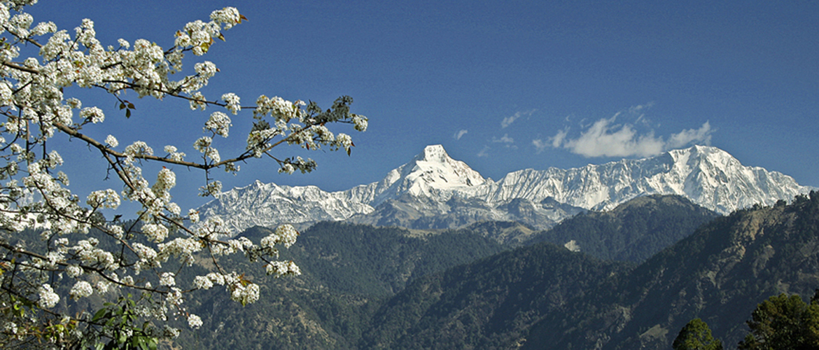 Outlook Traveller Boutique Hotel Awards 2017