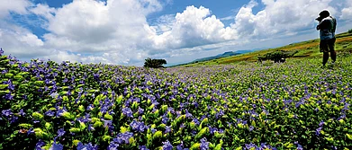 Shutterstock : Explore the diverse habitats in India for a wildlife journey