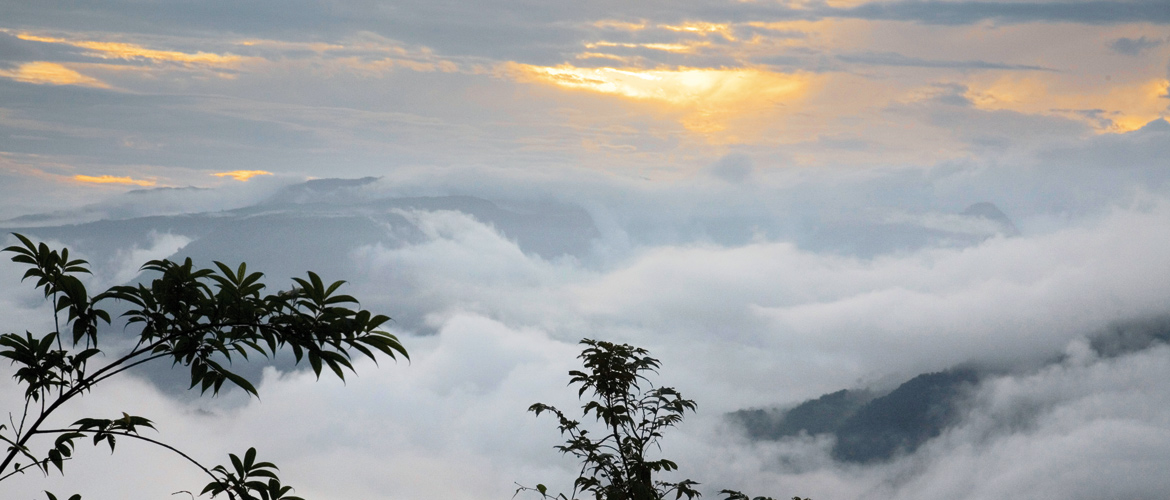 Meghalaya A Quick Guide to Cherrapunjee