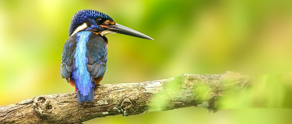 Goa Unexplored Hinterlands