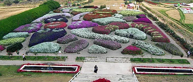 Thailand In the Land of Flowers