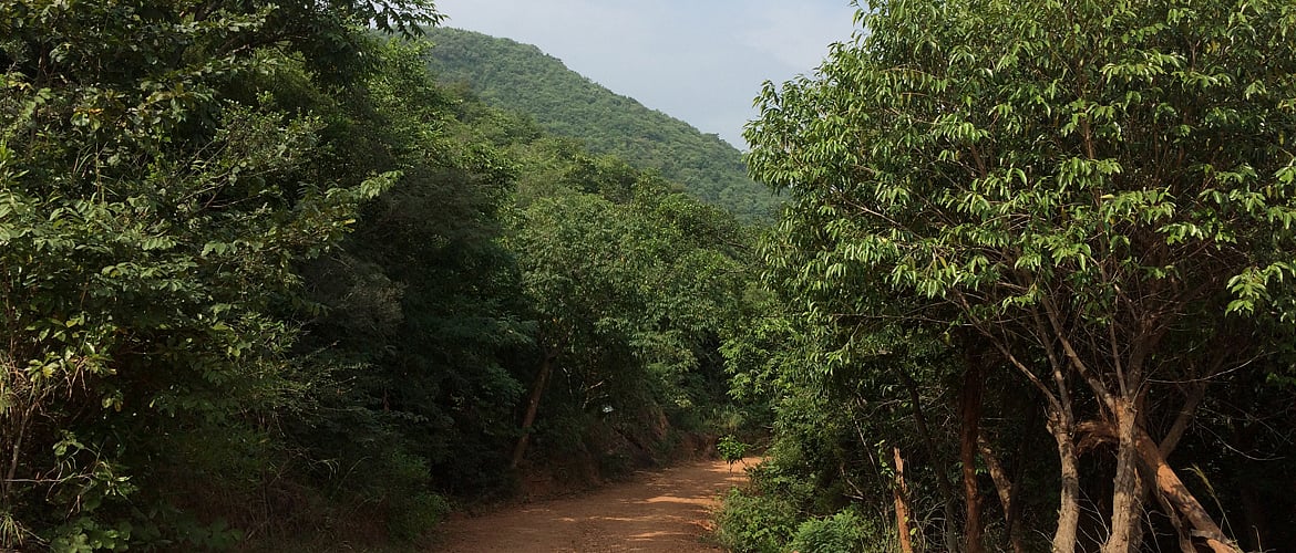 Rendezvous with the Kambalakonda inmates
