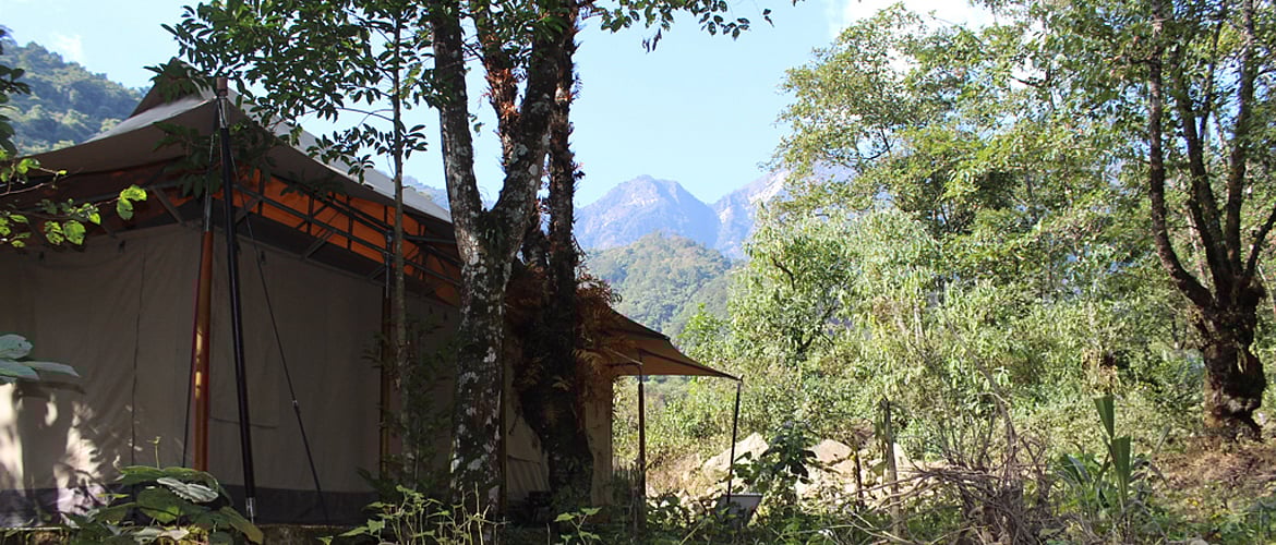 Nagaland A Dollop of Bucolic Bliss