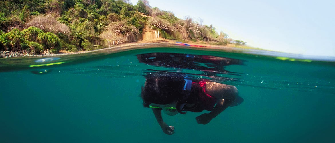 Karnataka Dive and explore the spectacular underwater life of Netrani