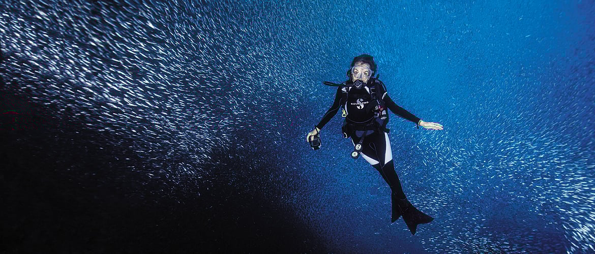 Meet Sylvia Earle, Legendary Oceanographer and Marine Biologist