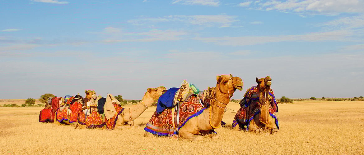 A Rann Life with Tents and sunsets