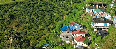 Facebook/Amairahs Home : Kurseong is a great choice for spending a monsoon vacation