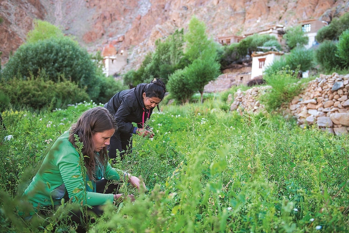 The treks are all conducted by local women 