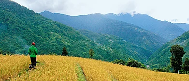 Explore The Northeast With Kipepeo