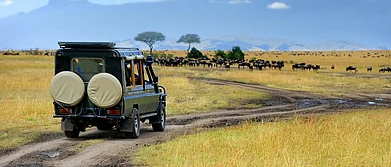A game drive in Masai Mara is a wonderful experience