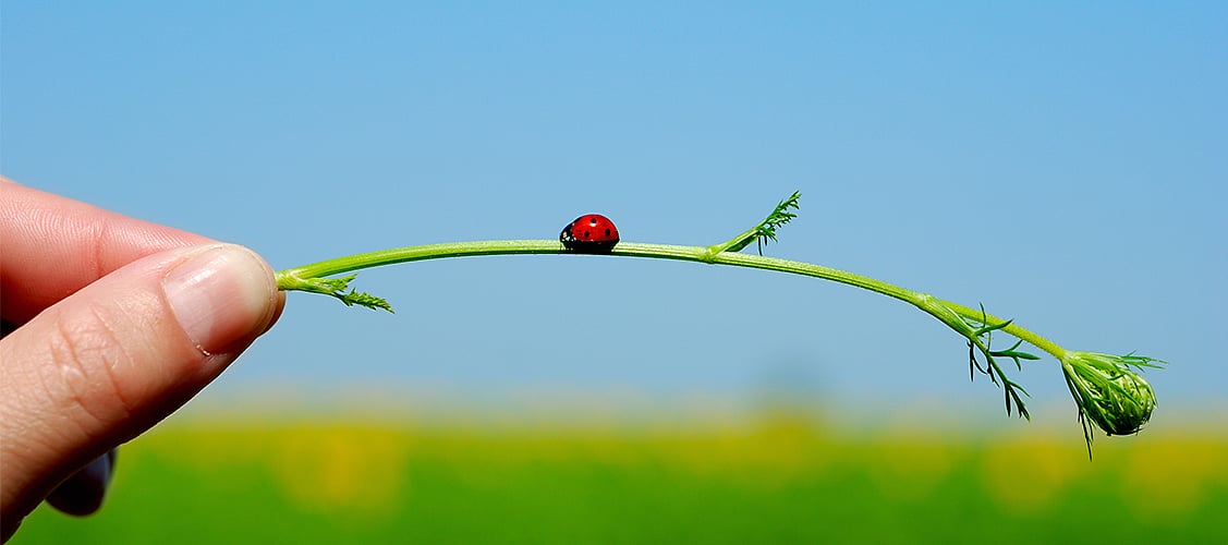 Be a responsible and eco-friendly traveller