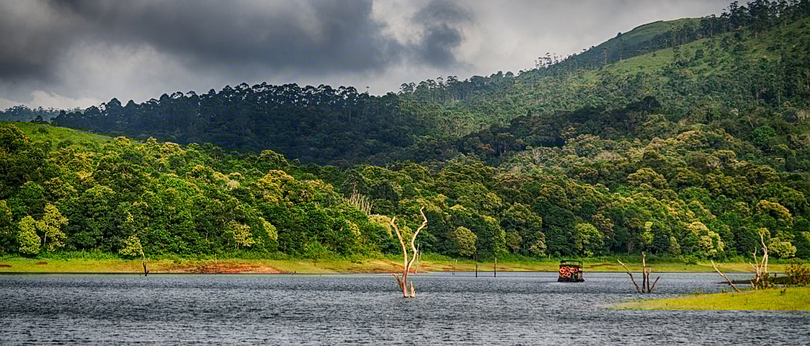 Top 5 Wildlife Destinations in Kerala