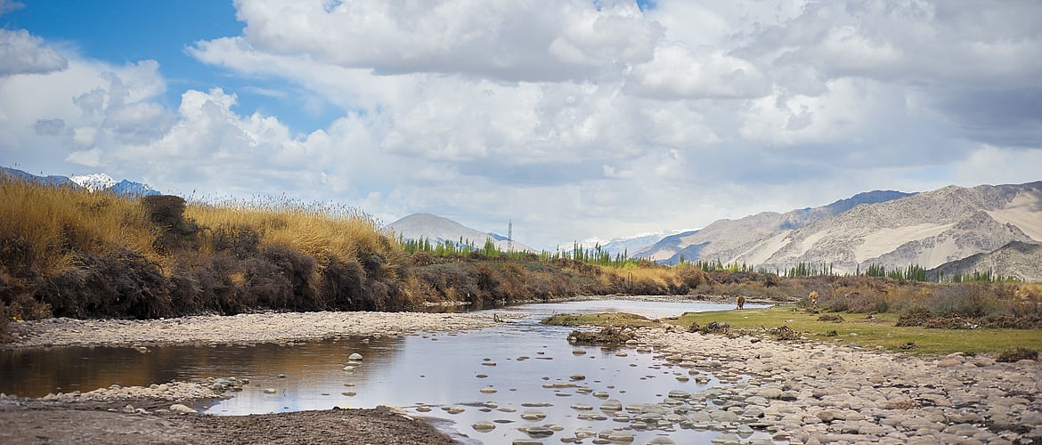The majestic Indus flows by Leh, and runs a course through the rest of Ladakh