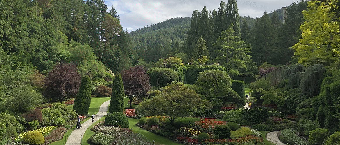 A view of the Sunken Garden at Butchart Garden