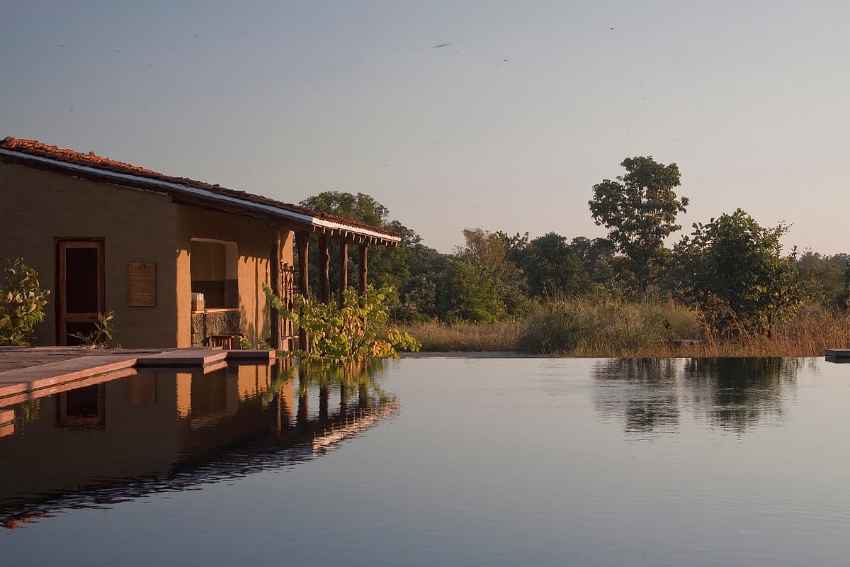 Most national parks in India will open up in October and November