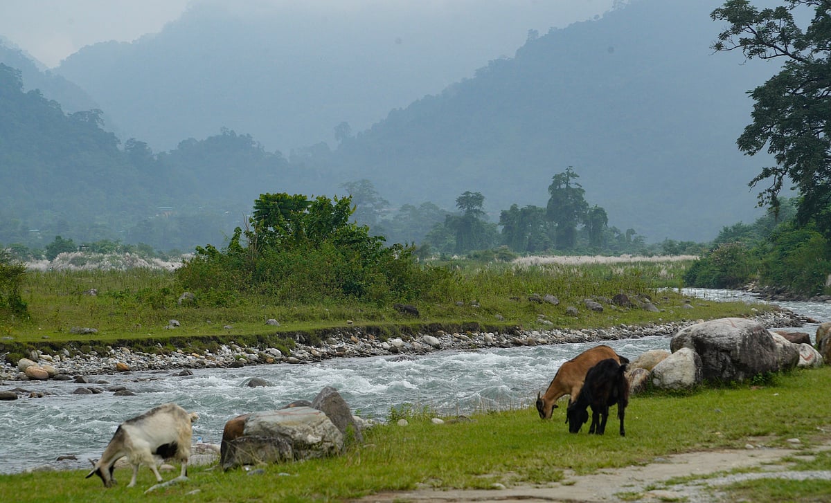  The picturesque location of Saralpara picnic spot with mountains of Bhutan in the backdrop. Photo Credit Surajit Sharma