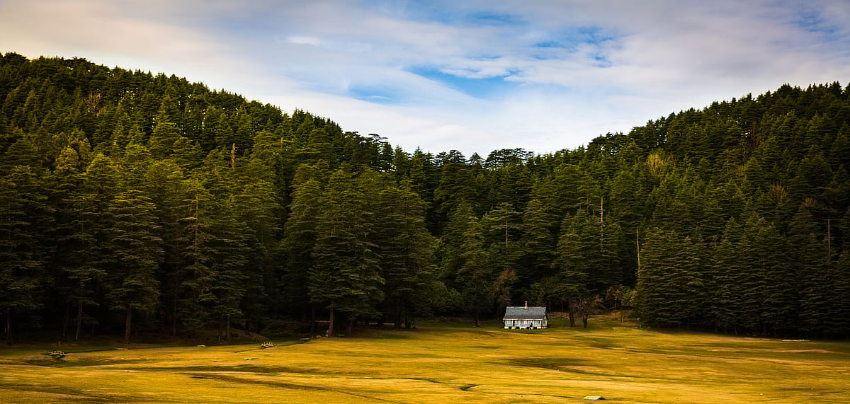 A very serene and a quint little valley, in a far far away place, amidst the woods that touch the sky in Khajjiar