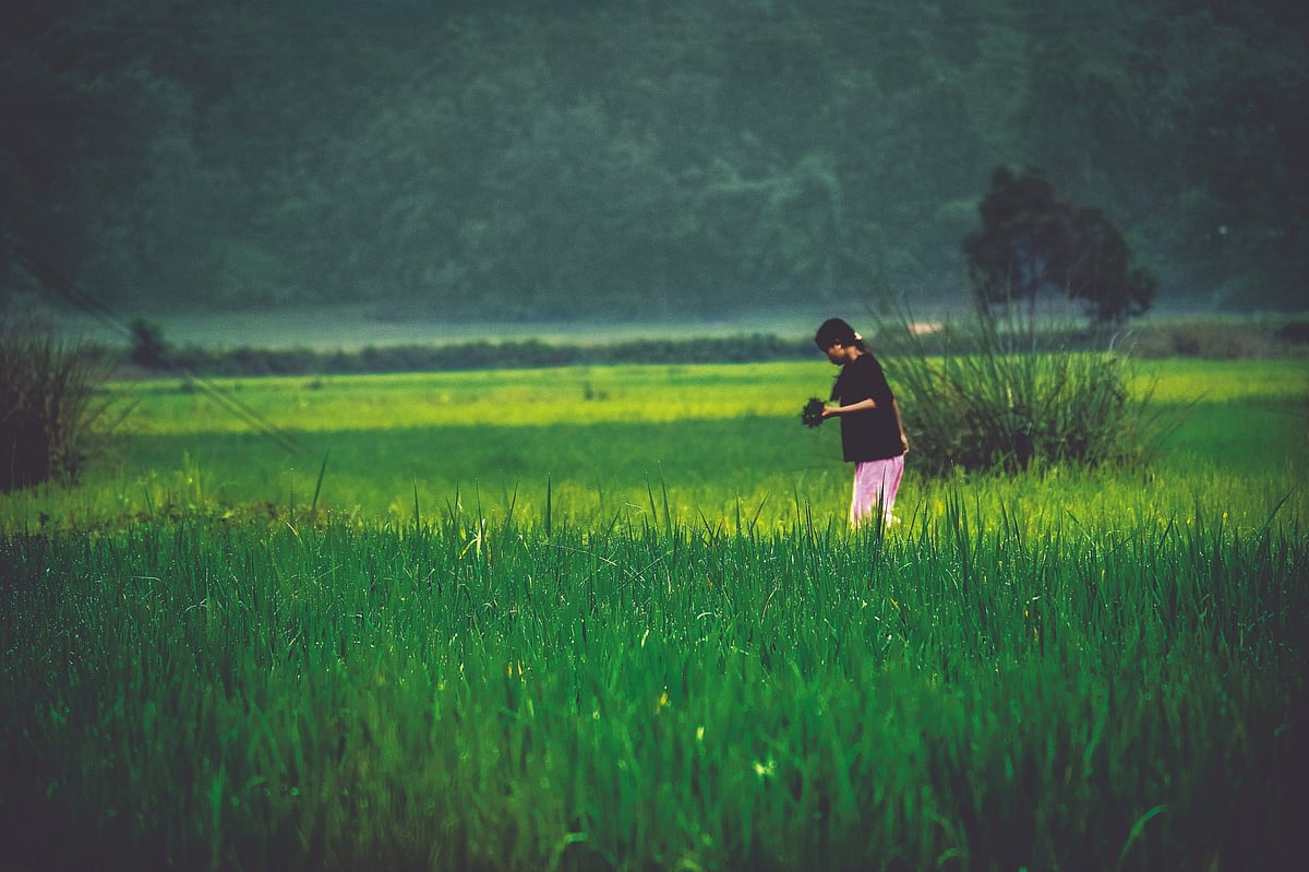 Anissa Lamare : A teenager plucking wild greens