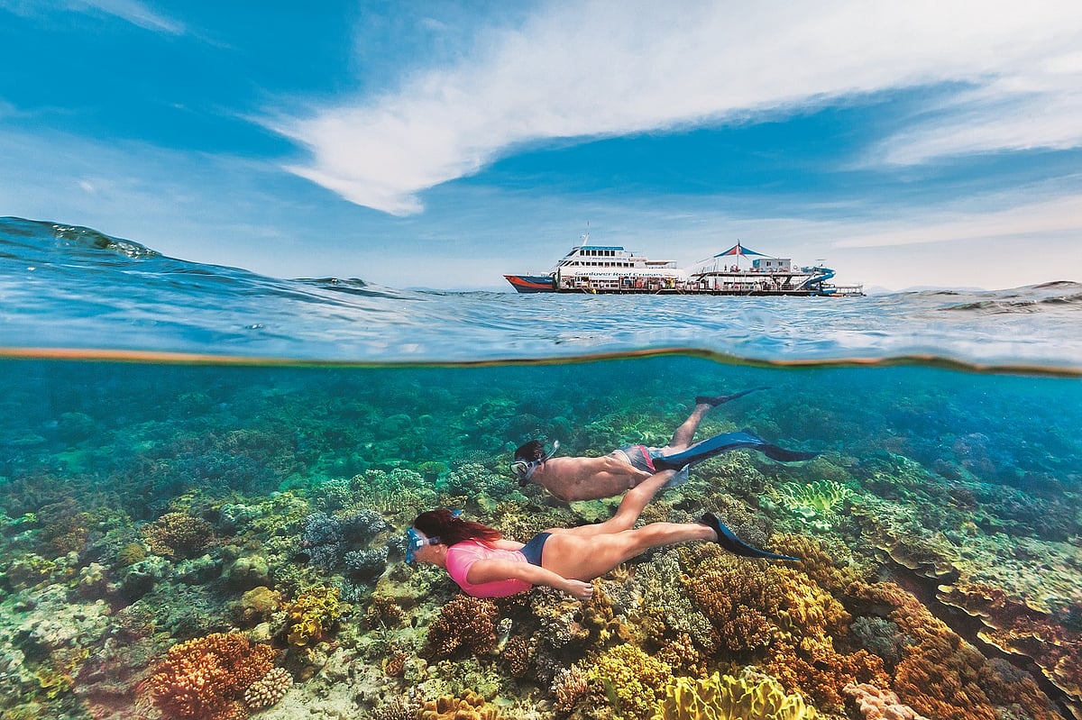 Fantastic Beasts of Oz