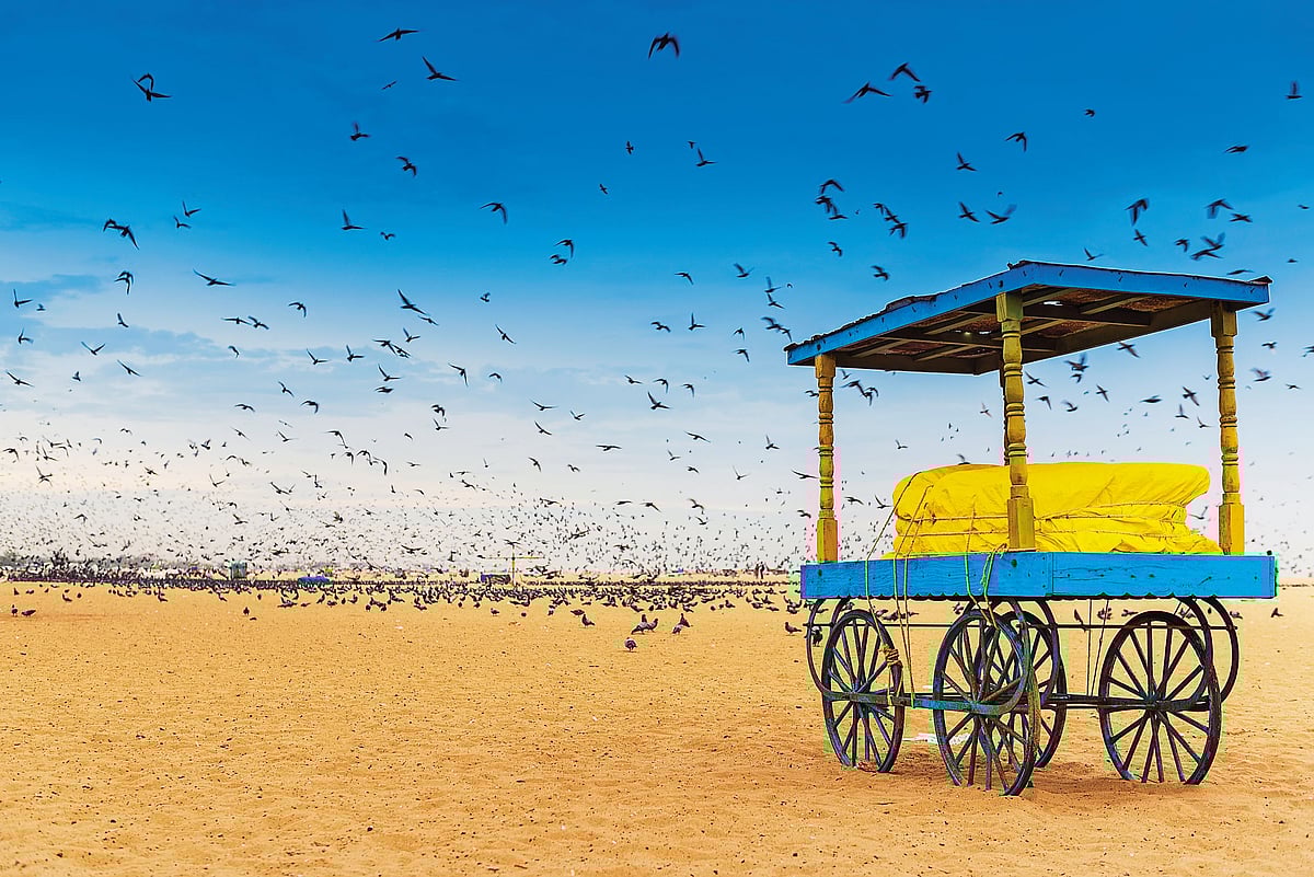 Chennai Culture and Coast - null