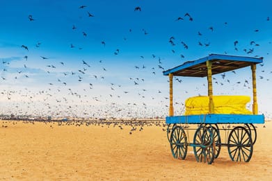 Chennai Culture and Coast