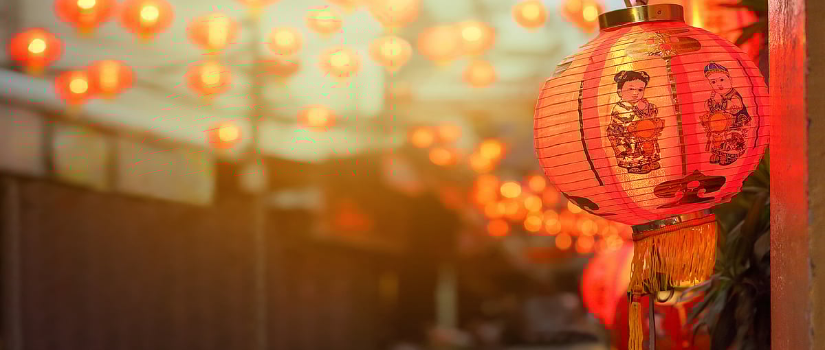 Its the Year of the Pig In pic Chinese New Year lanterns