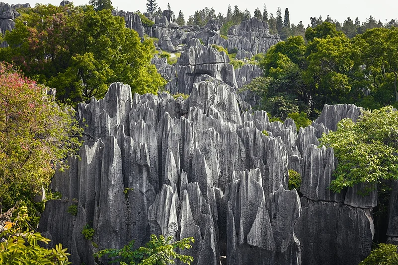 Kunming Stone Forest/Shutterstock